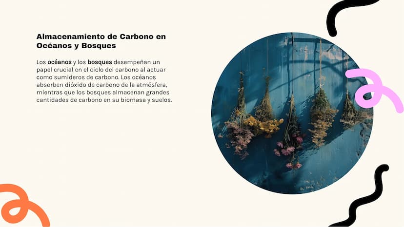 Análisis Detallado
del Ciclo del Carbono
K ـو
Introducción al Ciclo del Carbono
El ciclo del carbono es crucial para la vida en la
Tierra, y