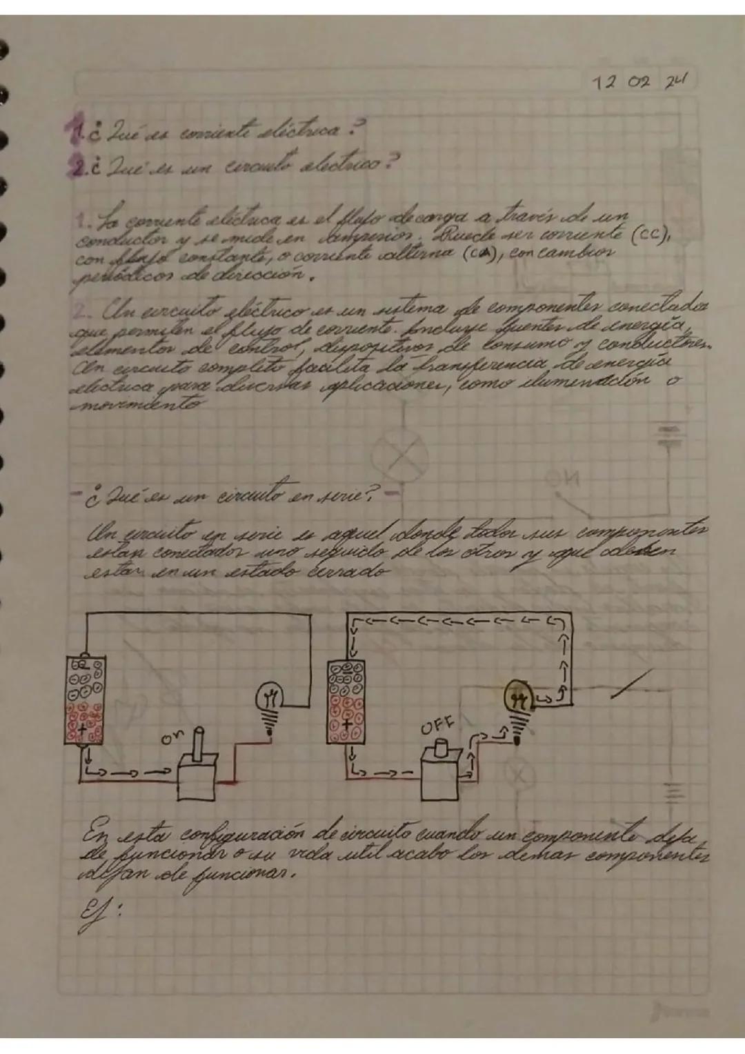 Circuitos electricos