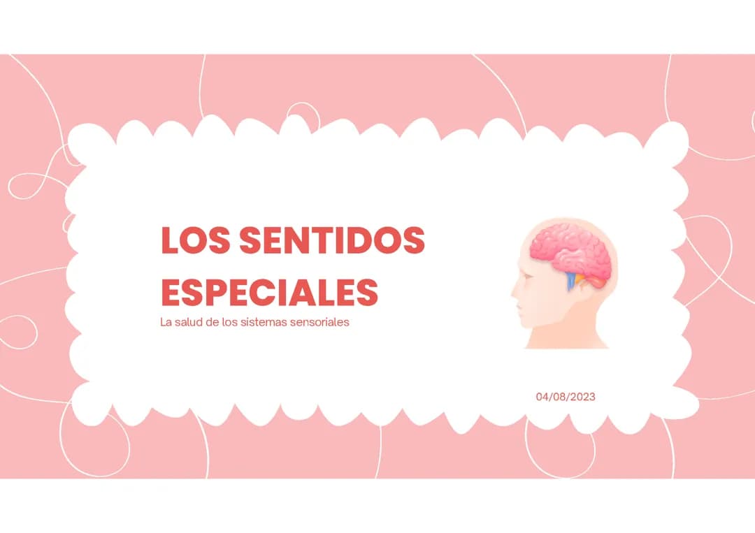 Los sentidos especiales