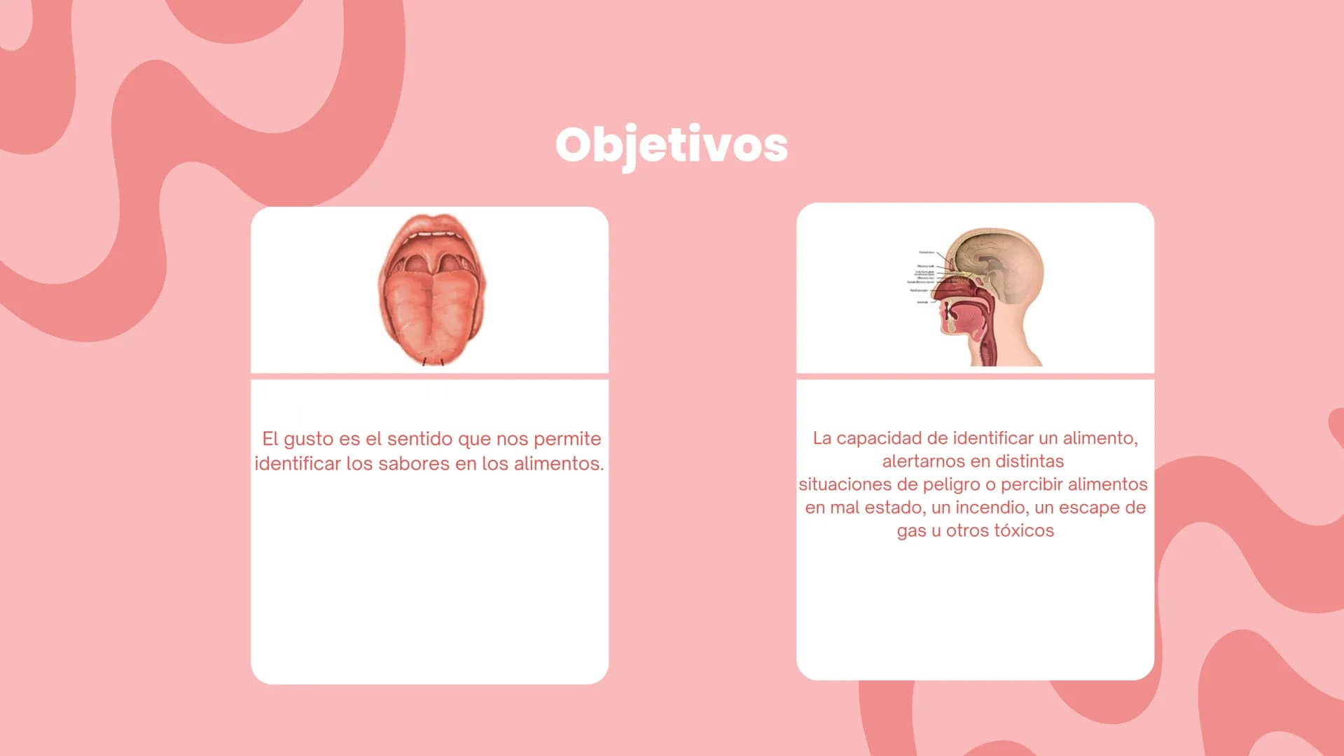 LOS SENTIDOS
ESPECIALES
La salud de los sistemas sensoriales
04/08/2023 LOS SENTIDOS ESPECIALES
?
Los sentidos especiales son el oído, la vi