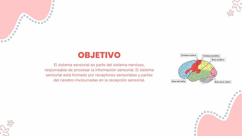 LOS SENTIDOS
ESPECIALES
La salud de los sistemas sensoriales
04/08/2023 LOS SENTIDOS ESPECIALES
?
Los sentidos especiales son el oído, la vi