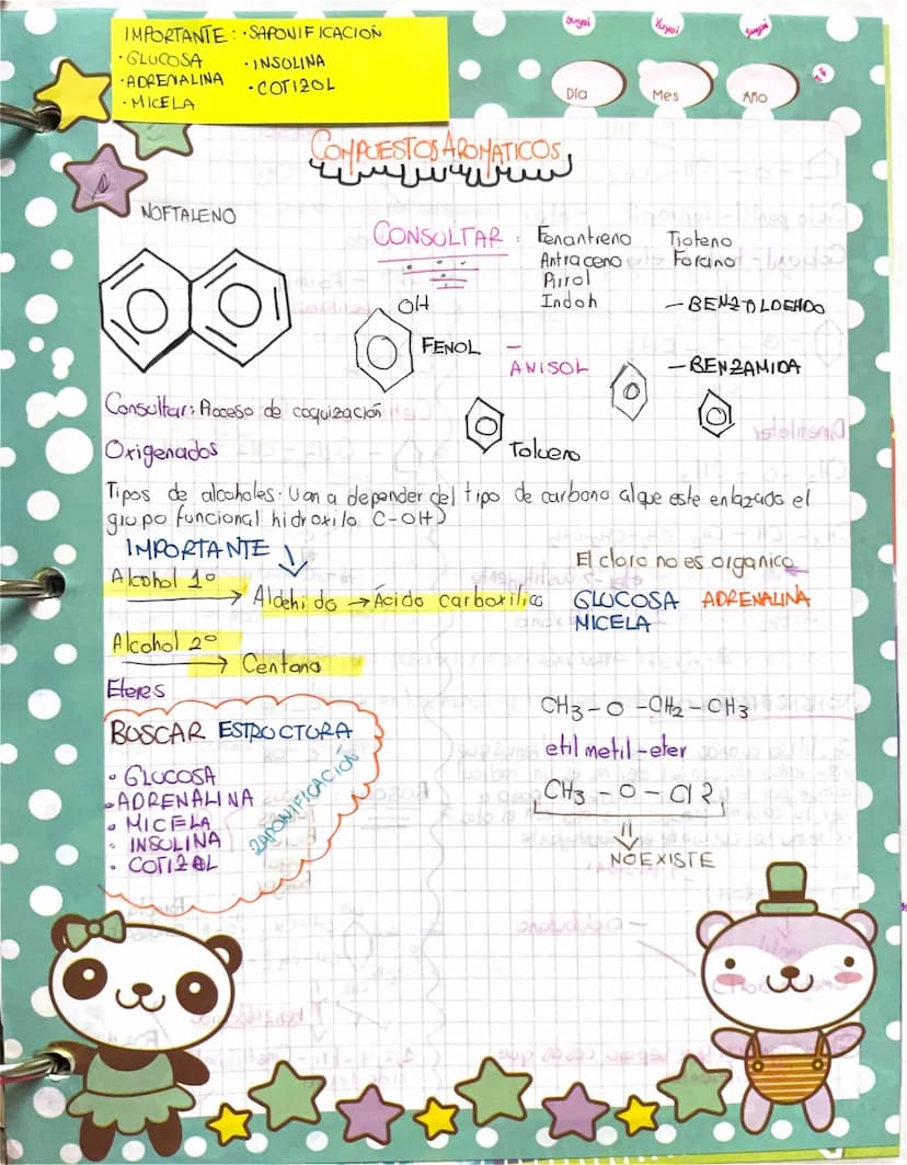 IMPORTANTE: SAPONIFICACION
Suyai
Yuyai
⚫GLUCOSA
ADRENALINA
• INSOLINA
-COTIZOL
·MICELA
NOFTALENO
Día
COMPUESTO AQUATICOS
CONSOLTAR
Fenantren