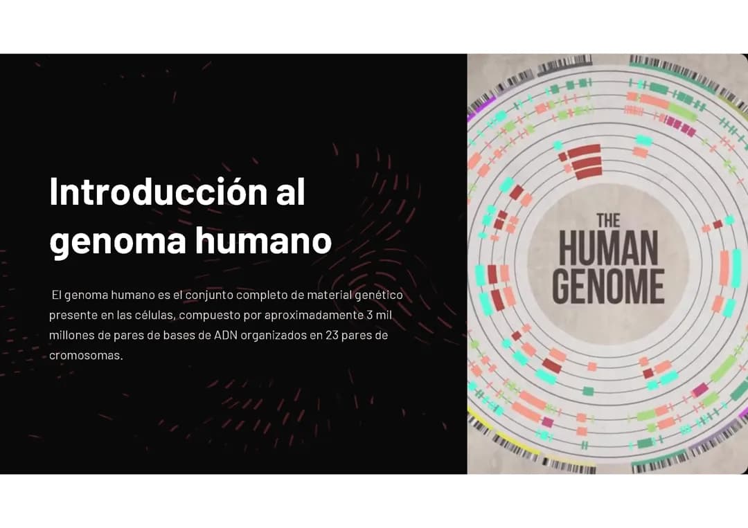 El genoma 