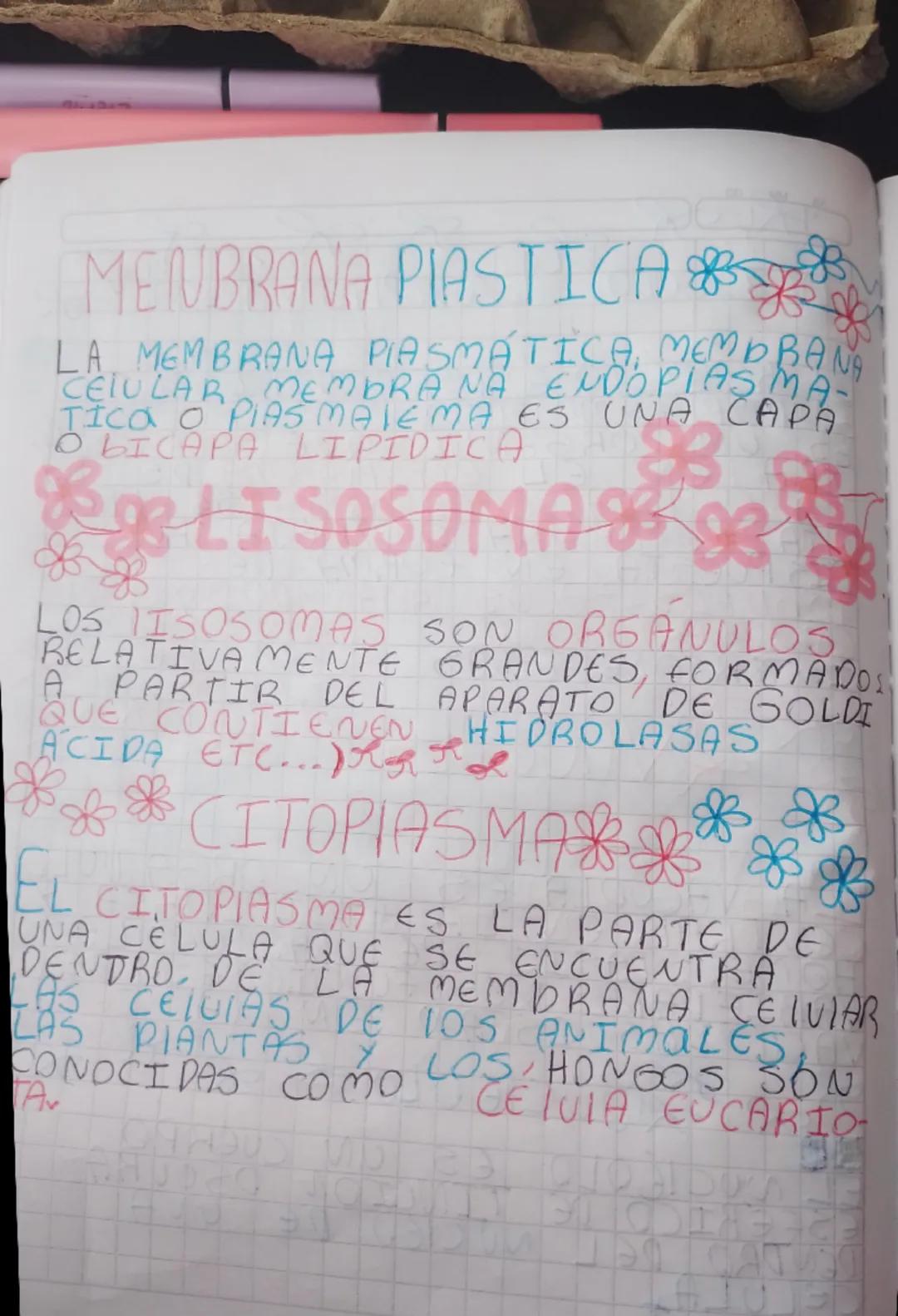 MENBRANA PIASTICA & 

LA MEMBRANA PLASMATICA, MEMO BANA
CELULAR, MEMBRANA ENDOPIAS MA-
TICA O PIAS MALEMA ES UNA CAPA
OLICAPA LIPIDICA

898 
