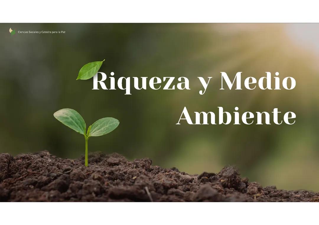 Riqueza y medio Ambiente  