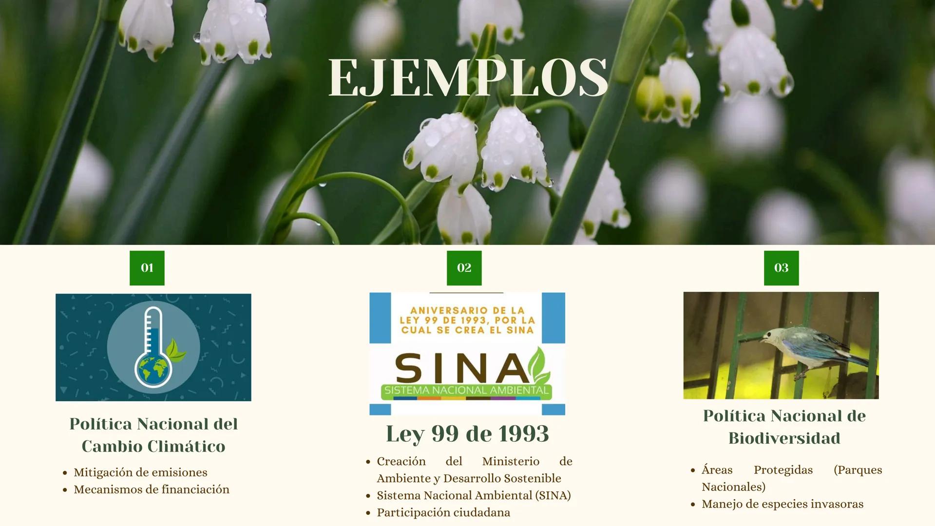 Ciencias Sociales y Catedra para la Paz
Riqueza y Medio
Ambiente GENERACIÓN DE RIQUEZA POR
MEDIO DE LA EXPLOTACIÓN DEL
MEDIO AMBIENTE
Es un 