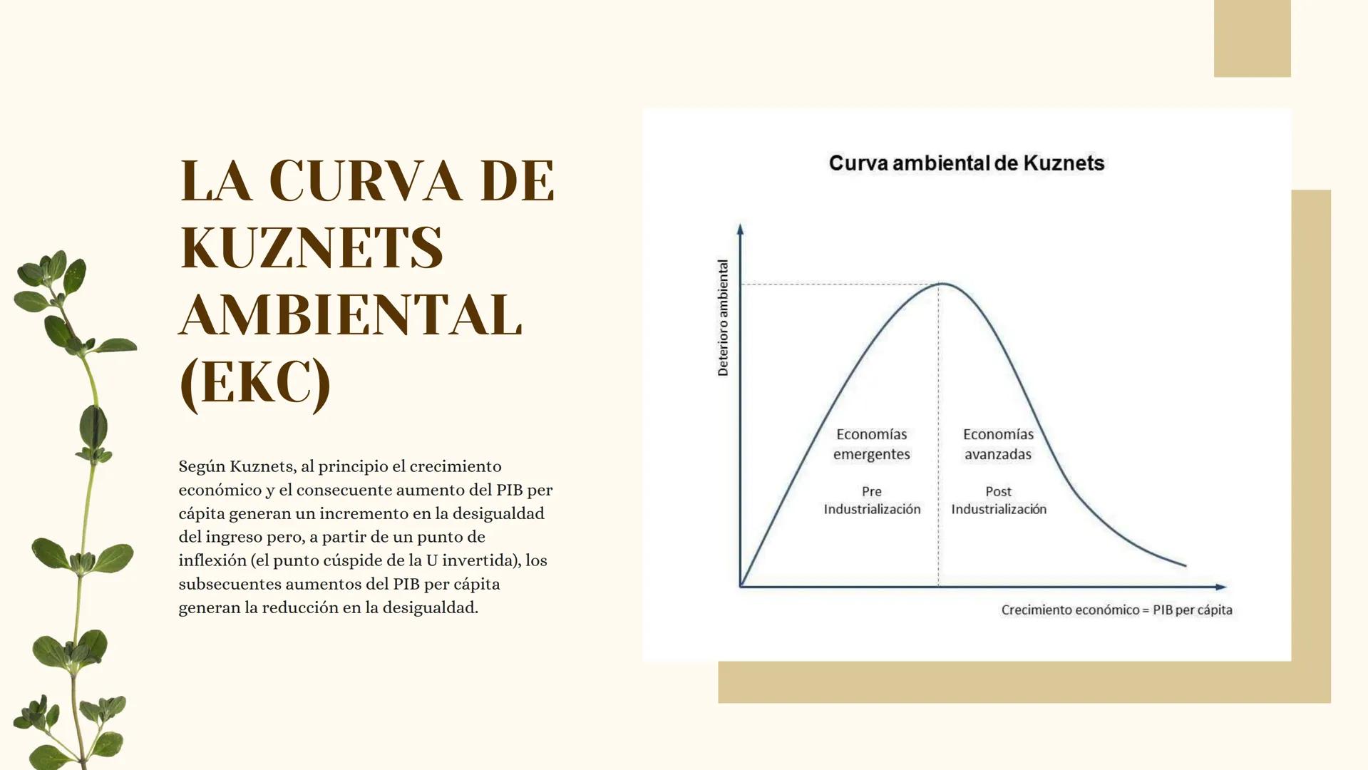 Ciencias Sociales y Catedra para la Paz
Riqueza y Medio
Ambiente GENERACIÓN DE RIQUEZA POR
MEDIO DE LA EXPLOTACIÓN DEL
MEDIO AMBIENTE
Es un 
