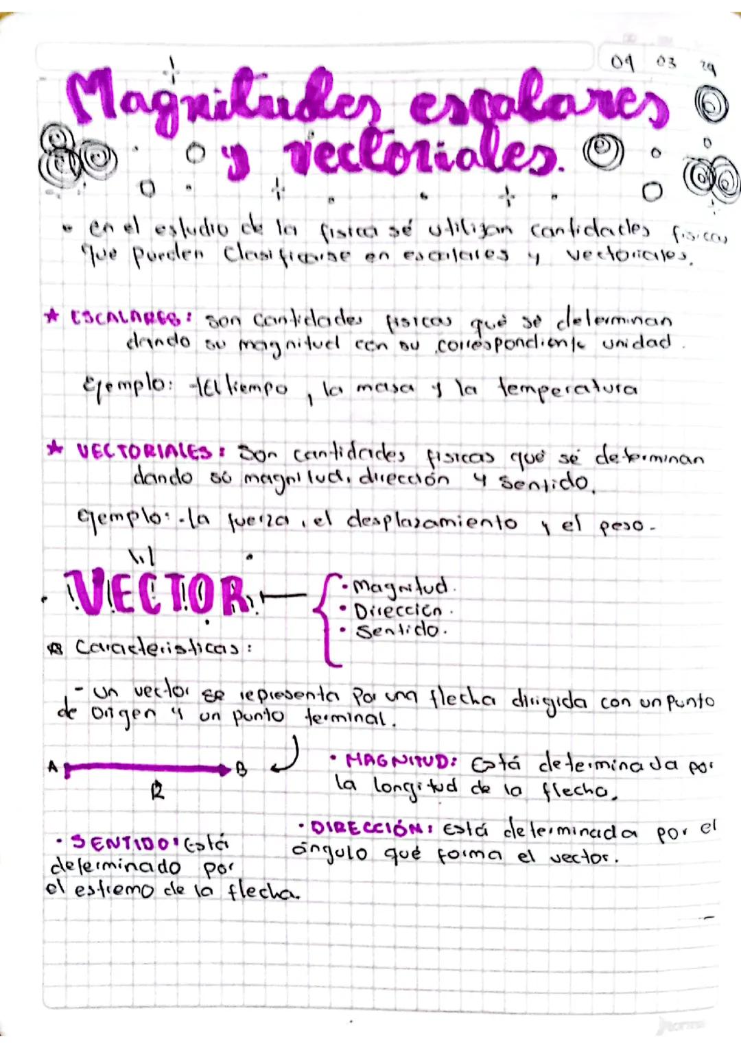 Magnitudes escalares y vectoriales 