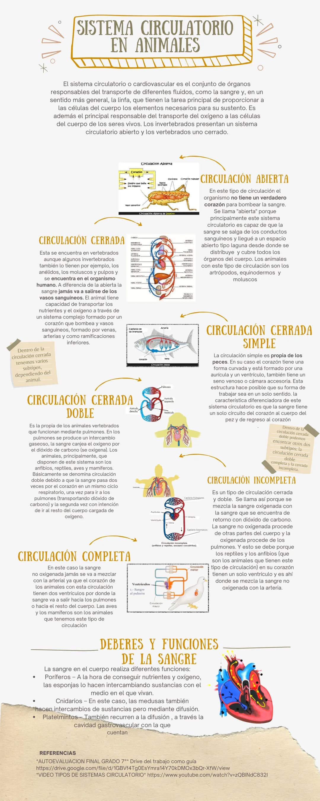 Про
SISTEMA CIRCULATORIO
EN ANIMALES
El sistema circulatorio o cardiovascular es el conjunto de órganos
responsables del transporte de difer