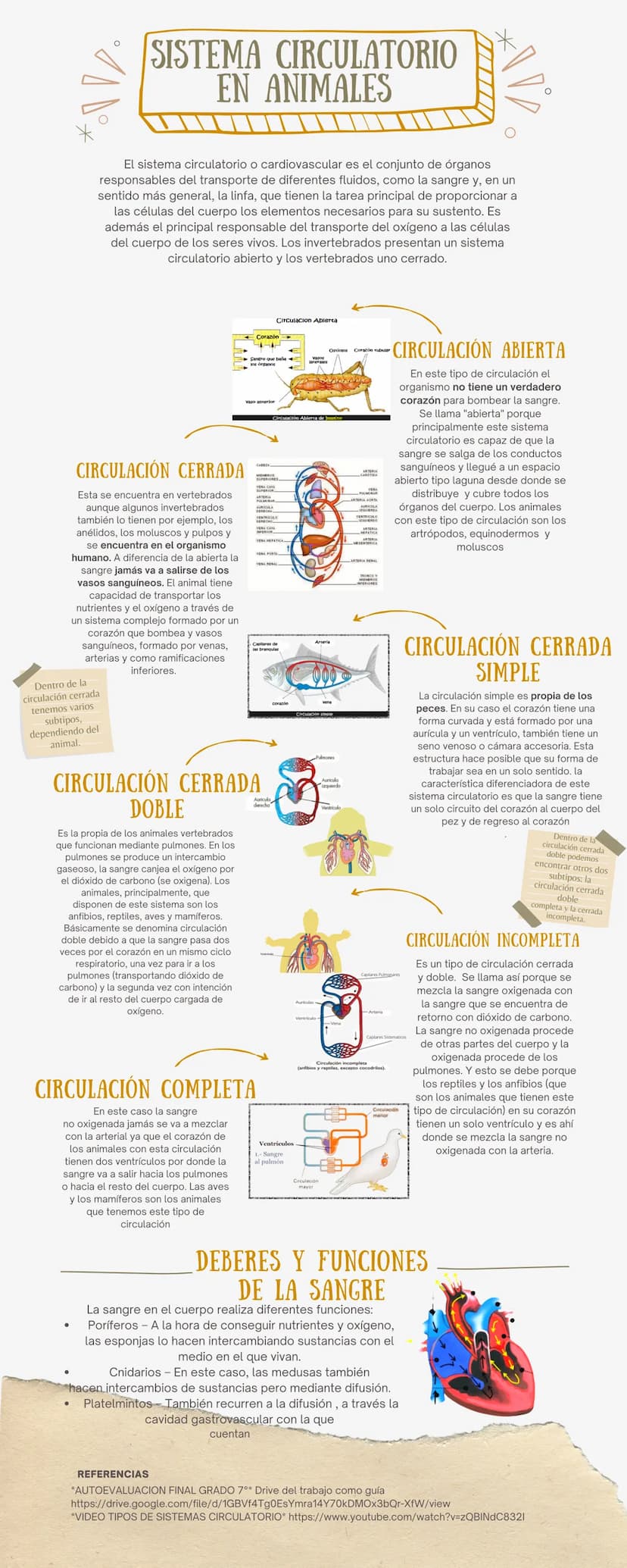 Про
SISTEMA CIRCULATORIO
EN ANIMALES
El sistema circulatorio o cardiovascular es el conjunto de órganos
responsables del transporte de difer