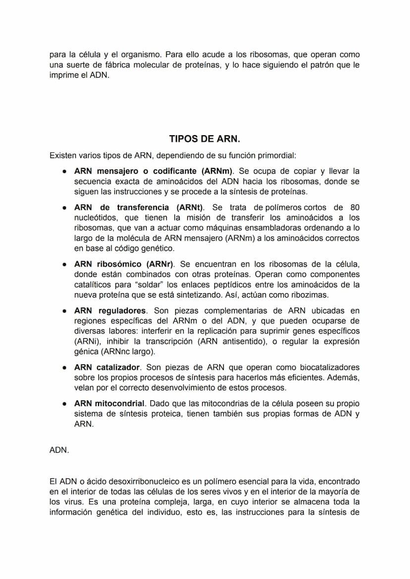 ACIDOS NUCLEICOS.
Los ácidos nucleicos son un tipo importante de macromoléculas presentes en todas
las células y virus. Las funciones de los