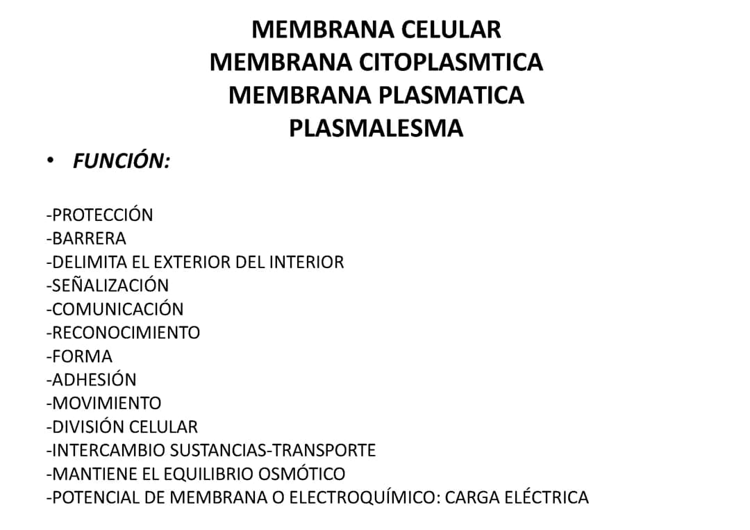 MEMBRANA CELULAR 