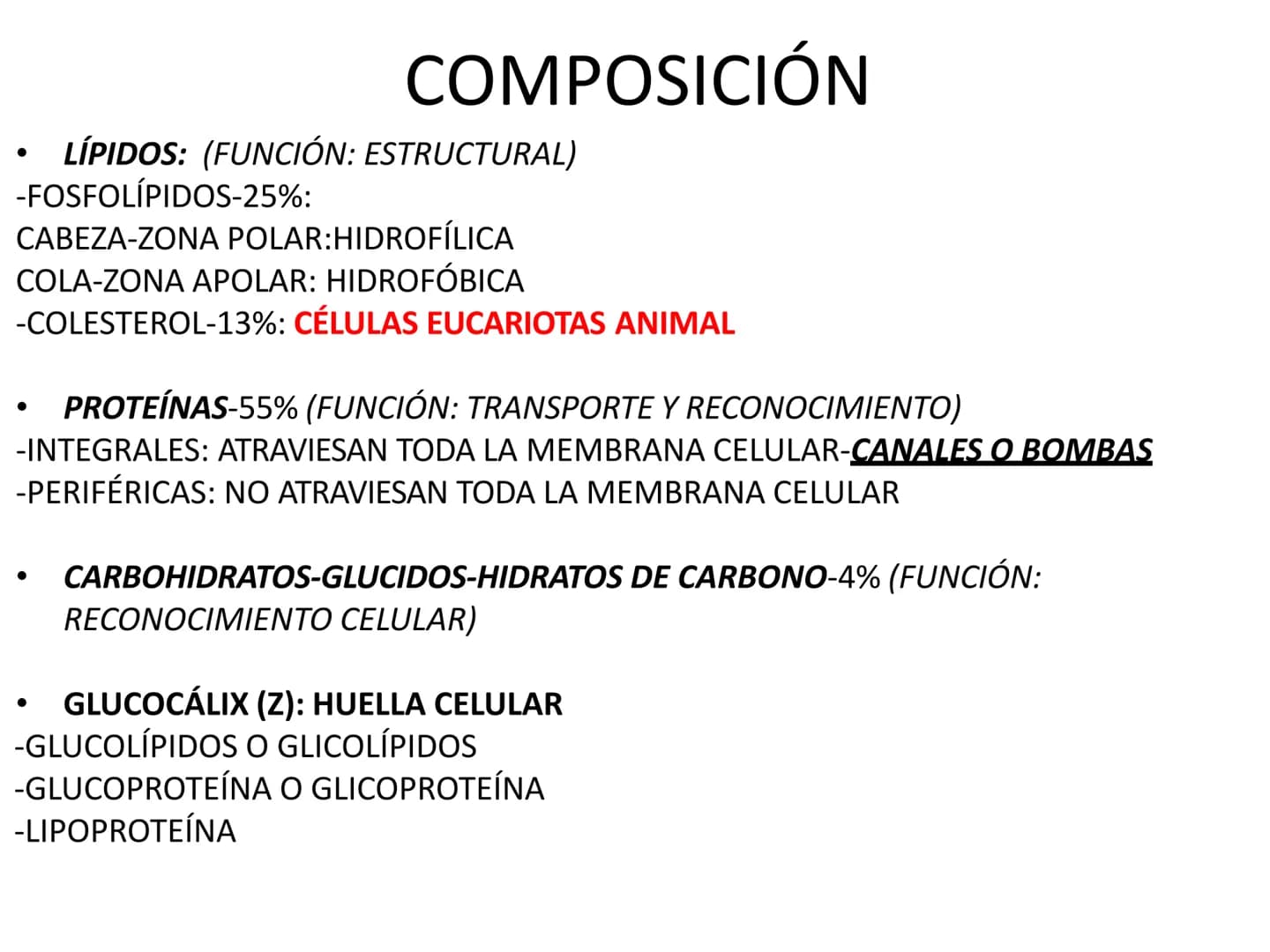 FUNCIÓN:
MEMBRANA CELULAR
MEMBRANA CITOPLASMTICA
MEMBRANA PLASMATICA
PLASMALESMA
-PROTECCIÓN
-BARRERA
-DELIMITA EL EXTERIOR DEL INTERIOR
-SE