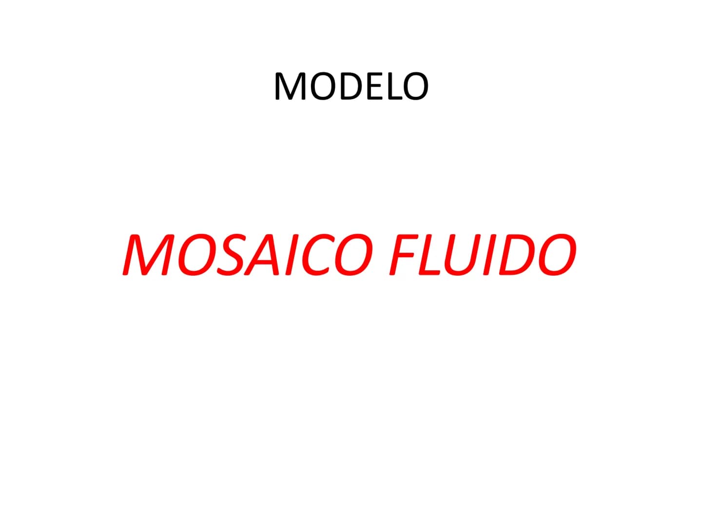 FUNCIÓN:
MEMBRANA CELULAR
MEMBRANA CITOPLASMTICA
MEMBRANA PLASMATICA
PLASMALESMA
-PROTECCIÓN
-BARRERA
-DELIMITA EL EXTERIOR DEL INTERIOR
-SE