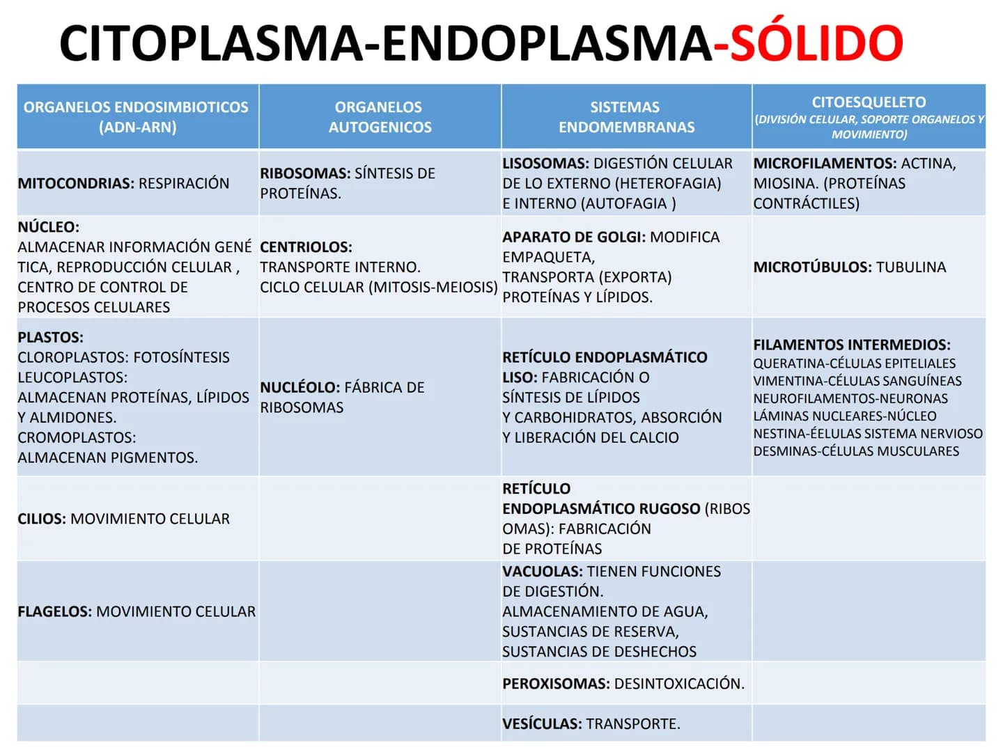 FUNCIÓN:
MEMBRANA CELULAR
MEMBRANA CITOPLASMTICA
MEMBRANA PLASMATICA
PLASMALESMA
-PROTECCIÓN
-BARRERA
-DELIMITA EL EXTERIOR DEL INTERIOR
-SE