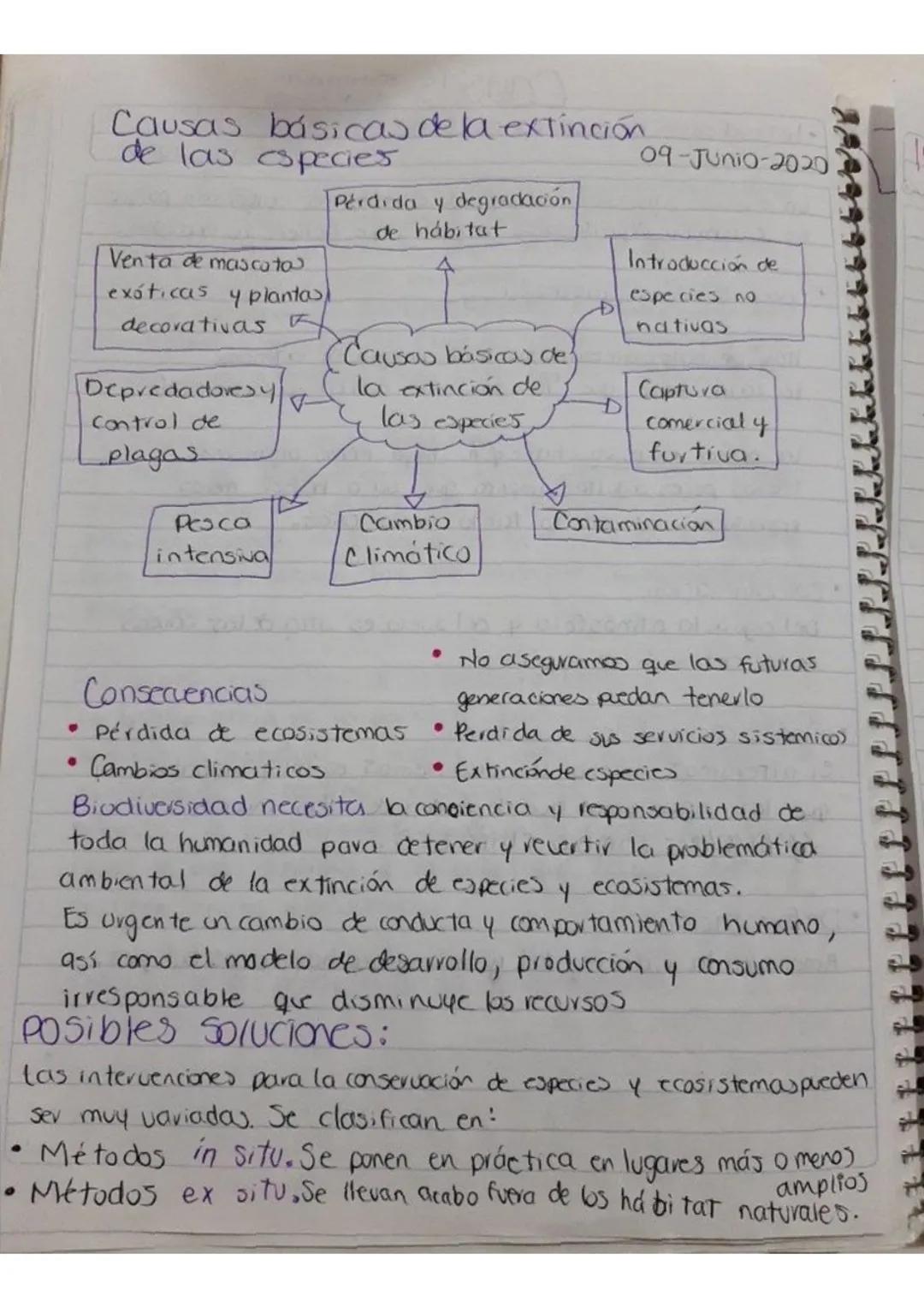 # Causas básicas de la extinción
de las especies

Venta de mascoto
exóticas y plantas
decorativas F

Depredadoresy
Control de
plagas

Pesca

