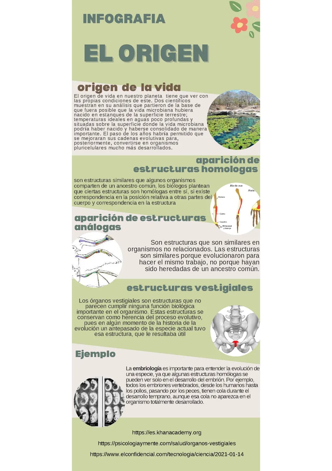 El origen de la vida 