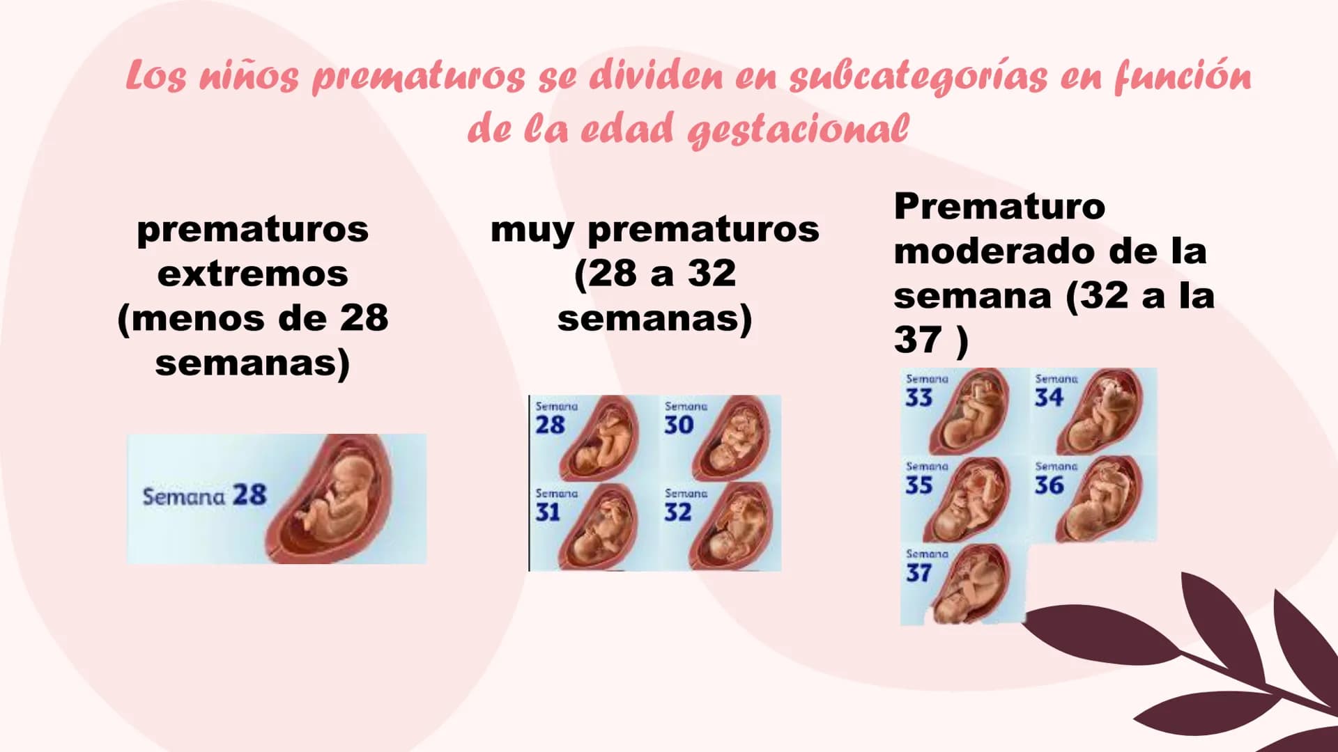 Parto
prematuro Introducción
¿Qué es el parto
prematuro?
¿Por que se da?
consecuencias ¿que es el parto prematuro?
Se considera parto premat