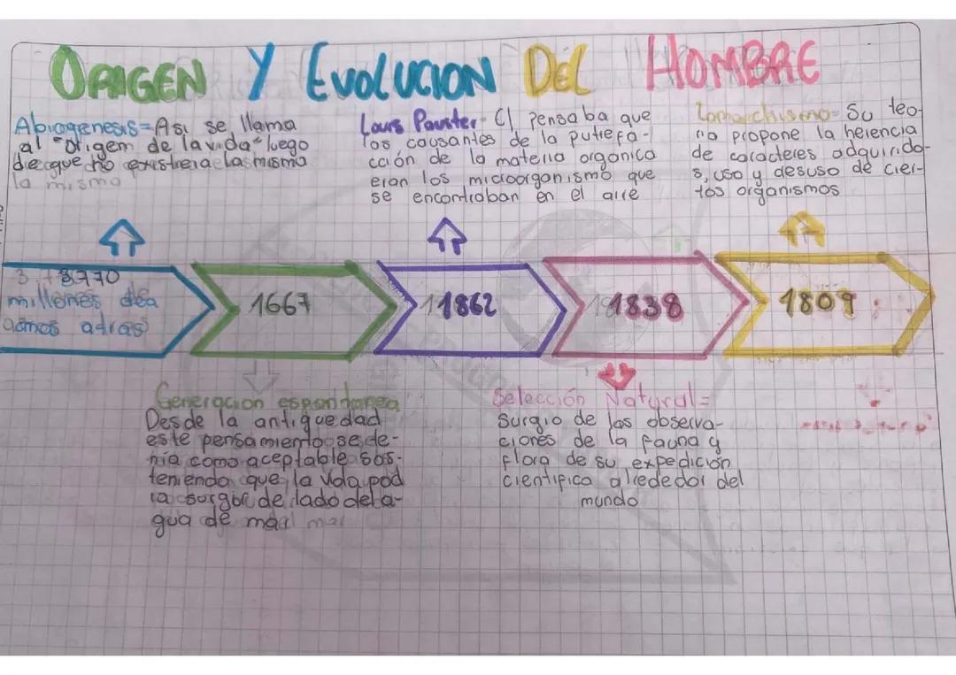 Origen y evolución del hombre 