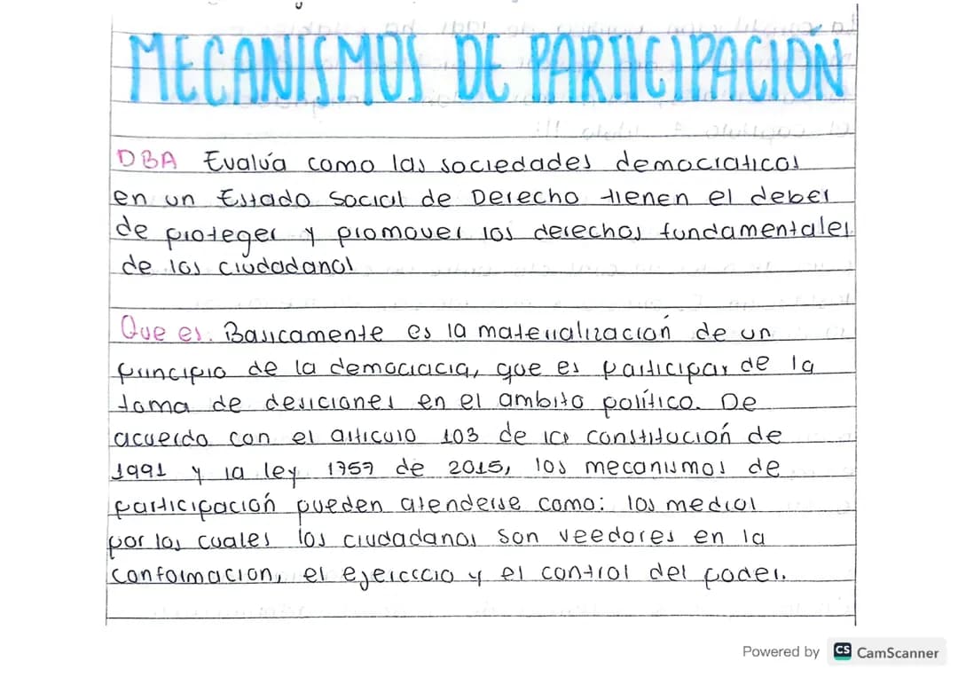 MECANISMOS DE PARTICIPACION