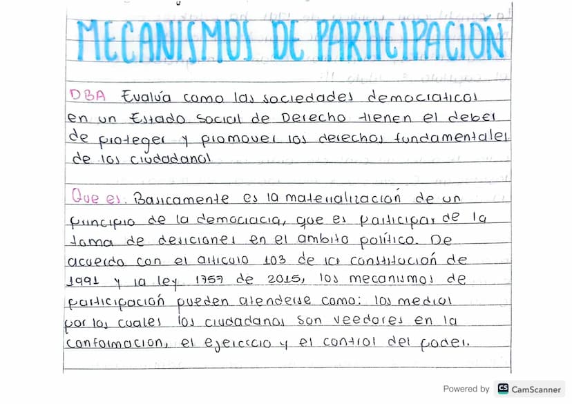 MECANISMOS DE PARTICIPACION
DBA Evalua como las sociedades democratico!
en un Estado Social de Derecho tienen el deber
de
proteger y promove