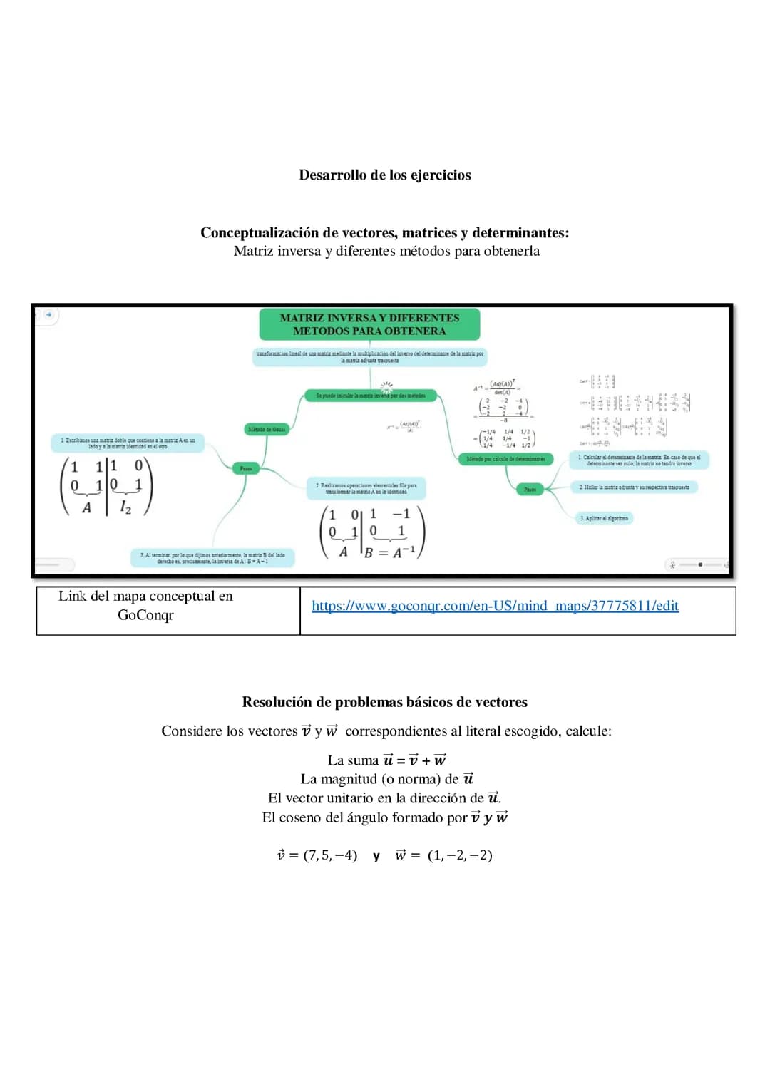 Conceptualización de vectores, matrices y determinantes