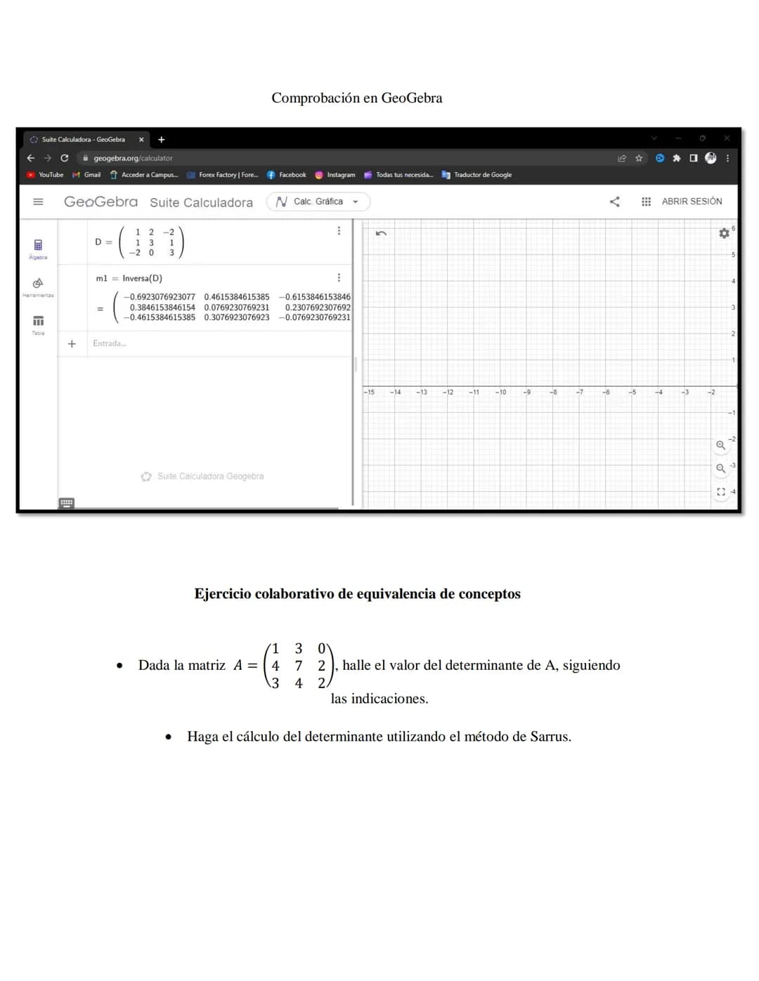 1. Escribimos una matriz doble que contiene a la matriz A en un
lado y a la matria identidad en el otro
1
0
(L)
A
10
Desarrollo de los ejerc