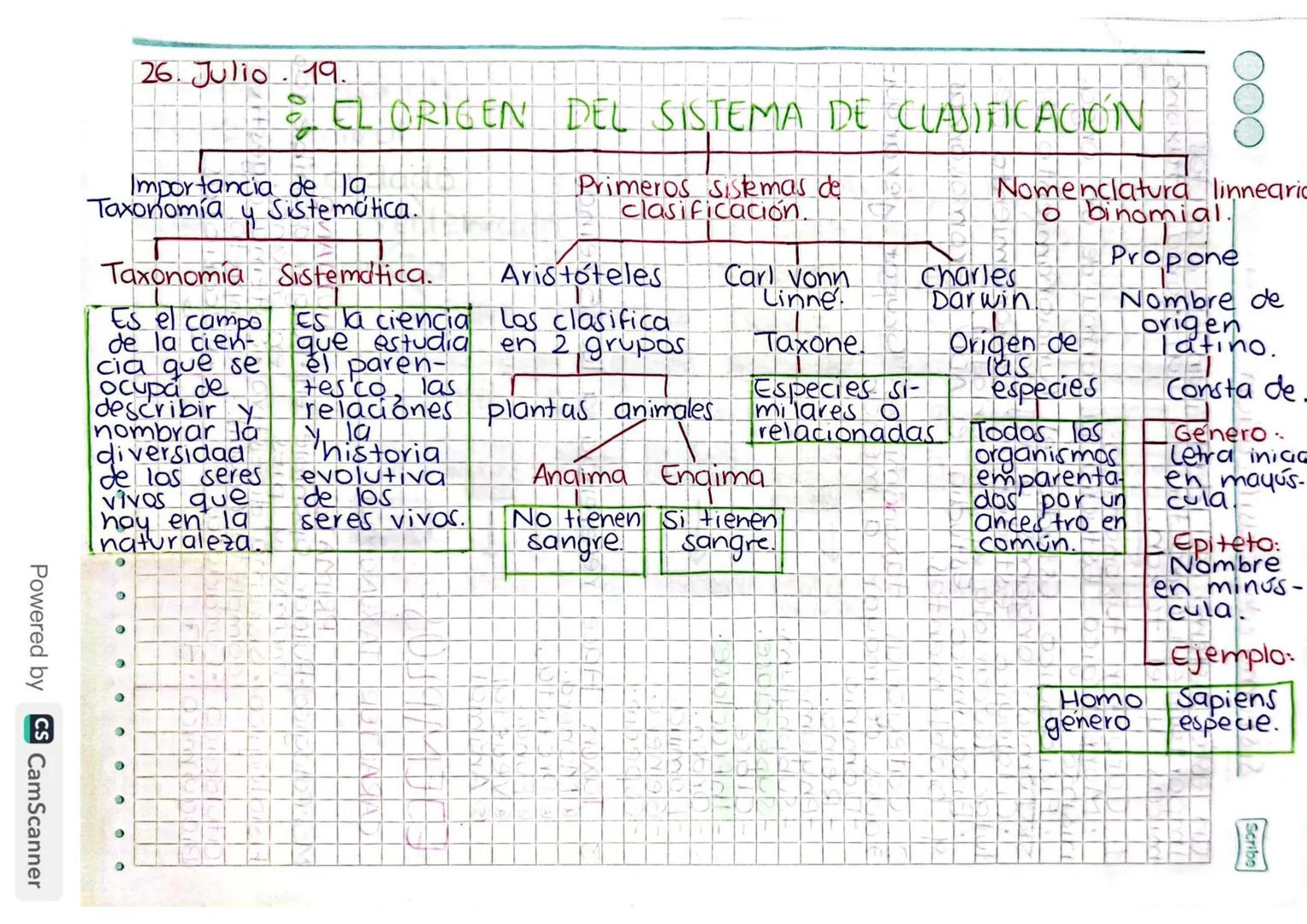 26. Julio 19.
0
=
EL ORIGEN DEL SISTEMA DE CLASIFICACIÓN
Importancia de la
Taxonomía
Sistemática.
Taxonomia Sistemática.
Primeros Sistemas d