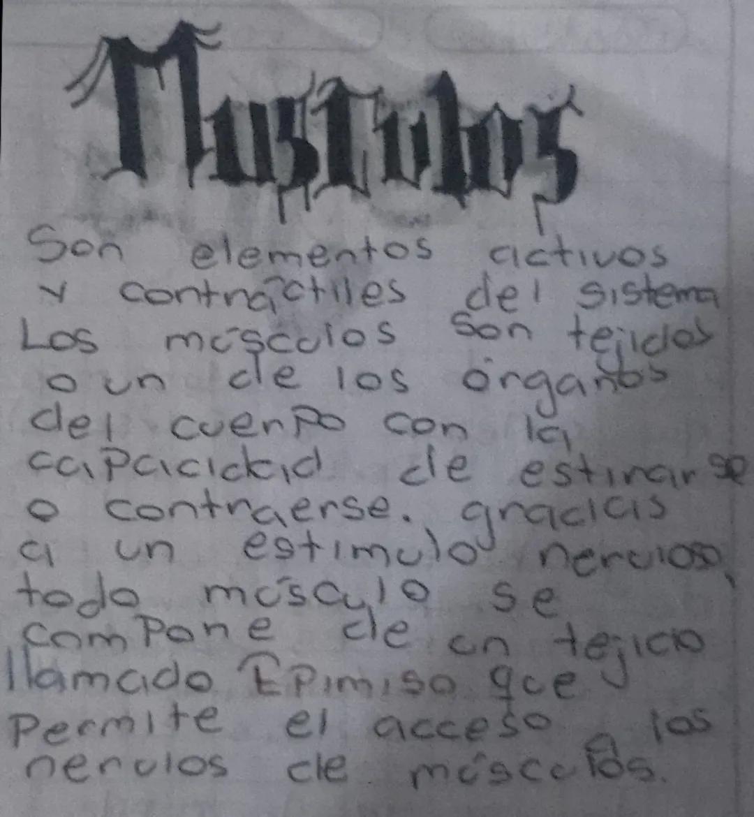 # Cráneo
El cráneo es una caja ósea que nos Protege de golpes. El cráneo se compone de 8 huesos que forman una cavidad y estos huesos son Pl