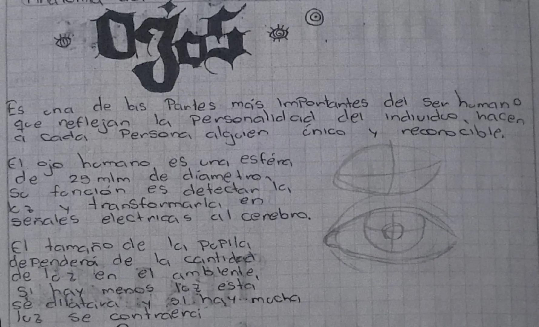 # Cráneo
El cráneo es una caja ósea que nos Protege de golpes. El cráneo se compone de 8 huesos que forman una cavidad y estos huesos son Pl