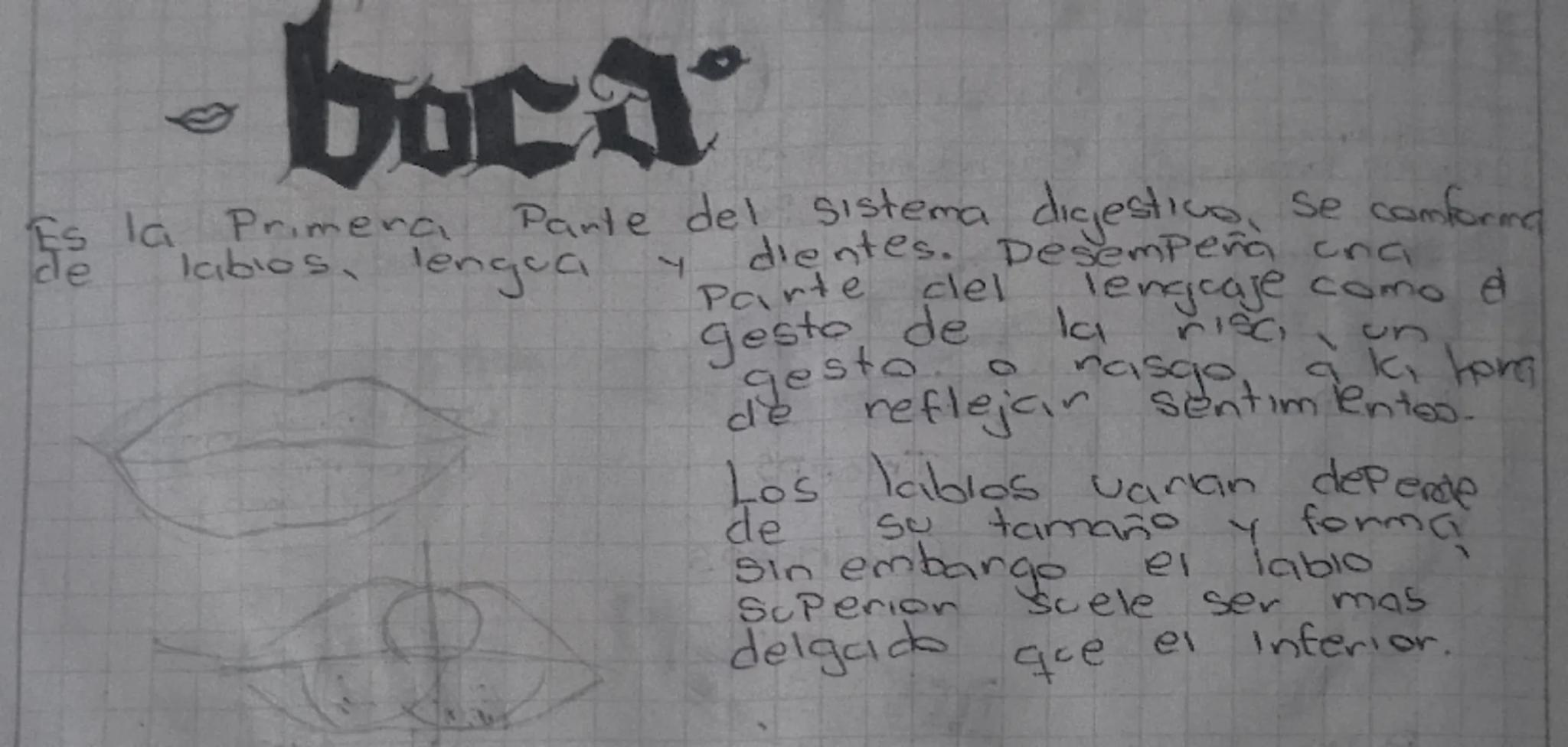 # Cráneo
El cráneo es una caja ósea que nos Protege de golpes. El cráneo se compone de 8 huesos que forman una cavidad y estos huesos son Pl