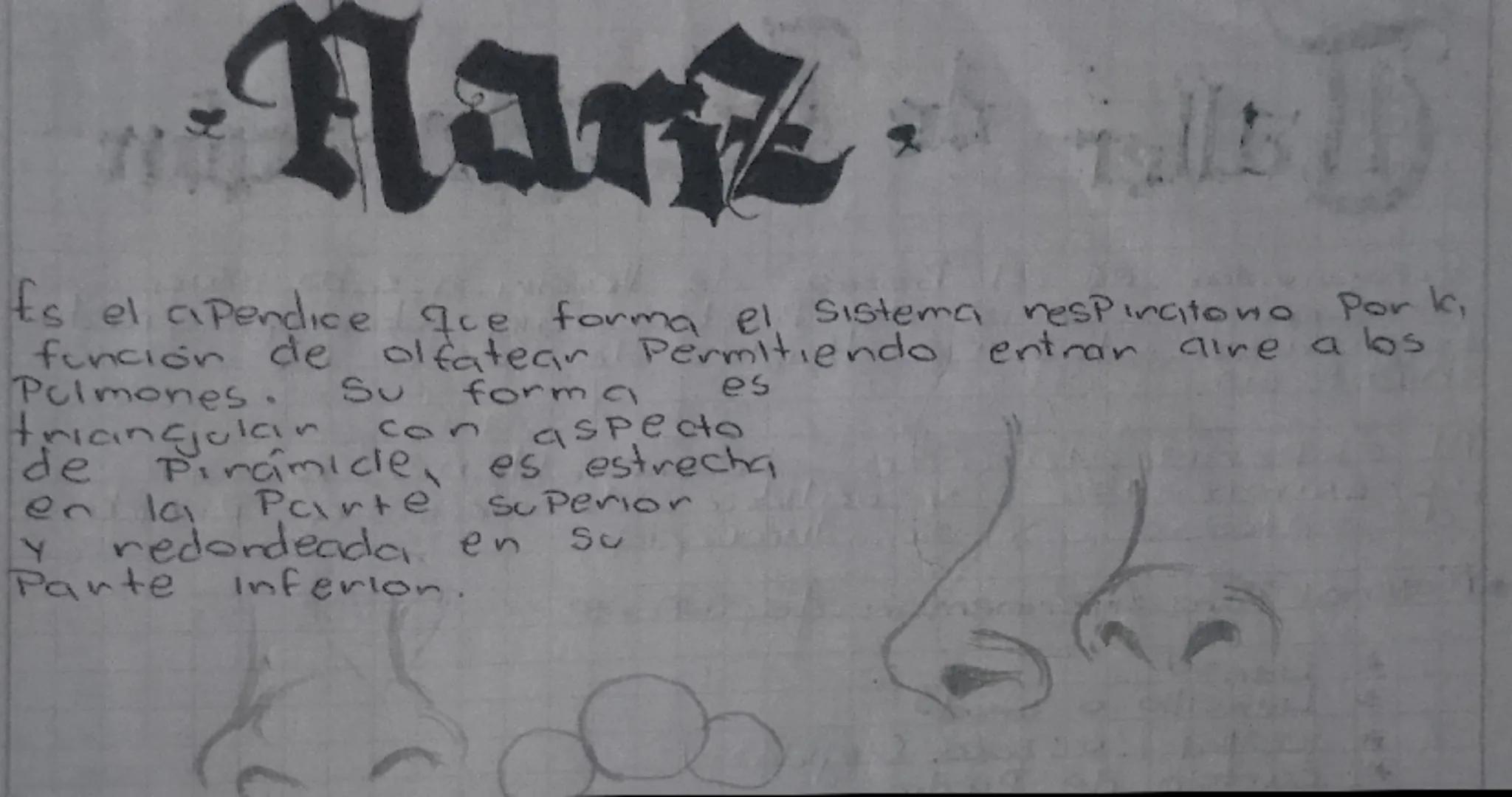 # Cráneo
El cráneo es una caja ósea que nos Protege de golpes. El cráneo se compone de 8 huesos que forman una cavidad y estos huesos son Pl