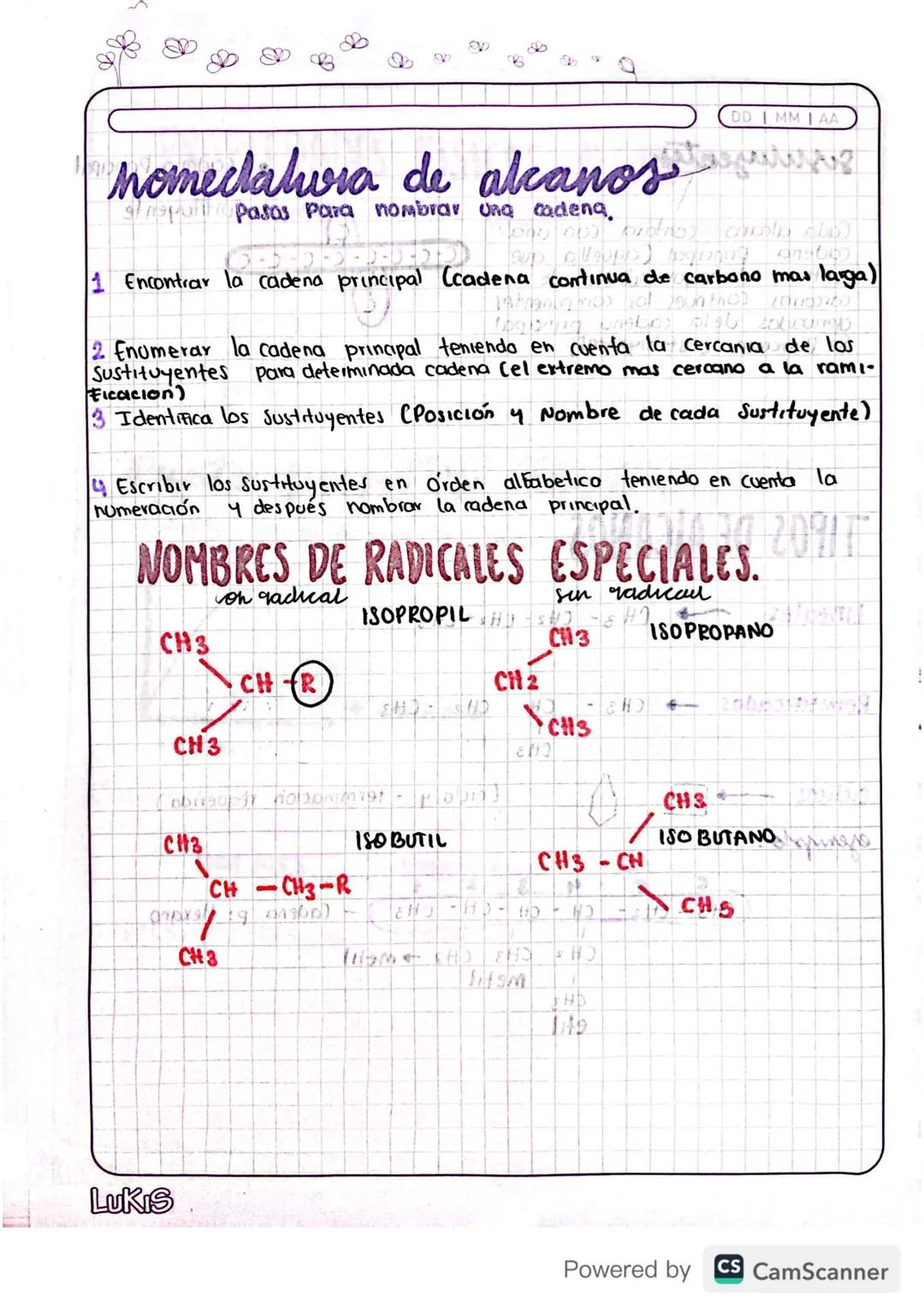 DD I MM I AA
homeclalia de alcanos g
Pasos Para nombrar una cadena.
ony nos protho) cabb
sup all upp) (p
1 Encontrar la cadena principal (ca