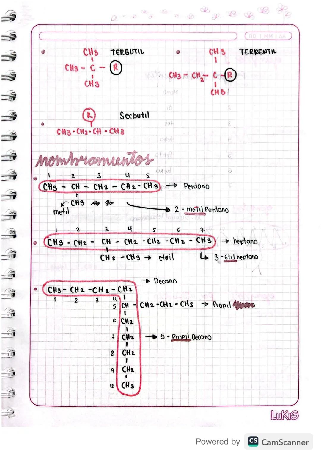 DD I MM I AA
homeclalia de alcanos g
Pasos Para nombrar una cadena.
ony nos protho) cabb
sup all upp) (p
1 Encontrar la cadena principal (ca