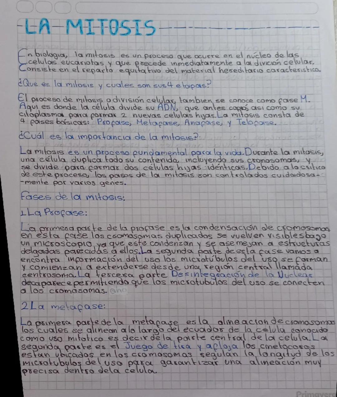 # LA MITOSIS

En biología, la mitosis es un proceso que ocurre en el núcleo de las células eucariotas y que precede inmediatamente a la divi