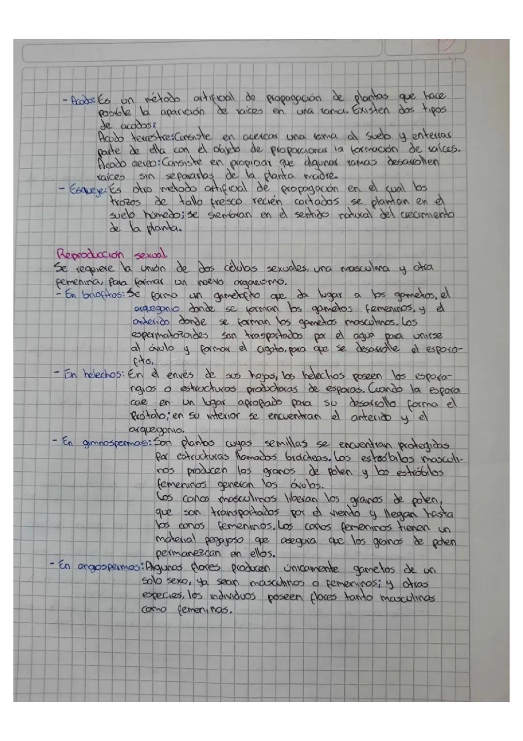 Reproducción sexual y asexual en plantas