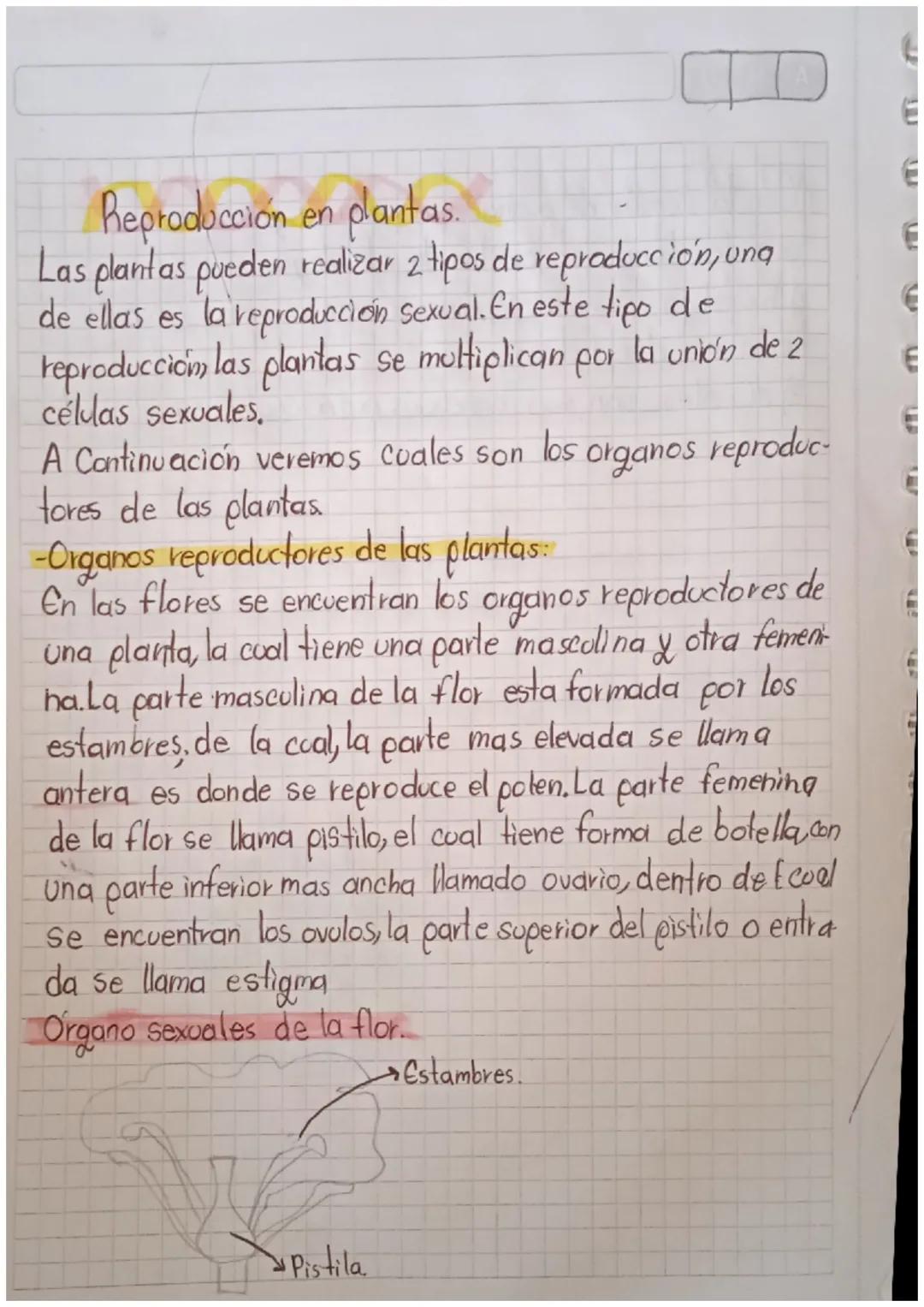 ### Reproducción en plantas.

Las plantas pueden realizar 2 tipos de reproducción, ung
de ellas es la reproducción sexual. En este tipo de
r