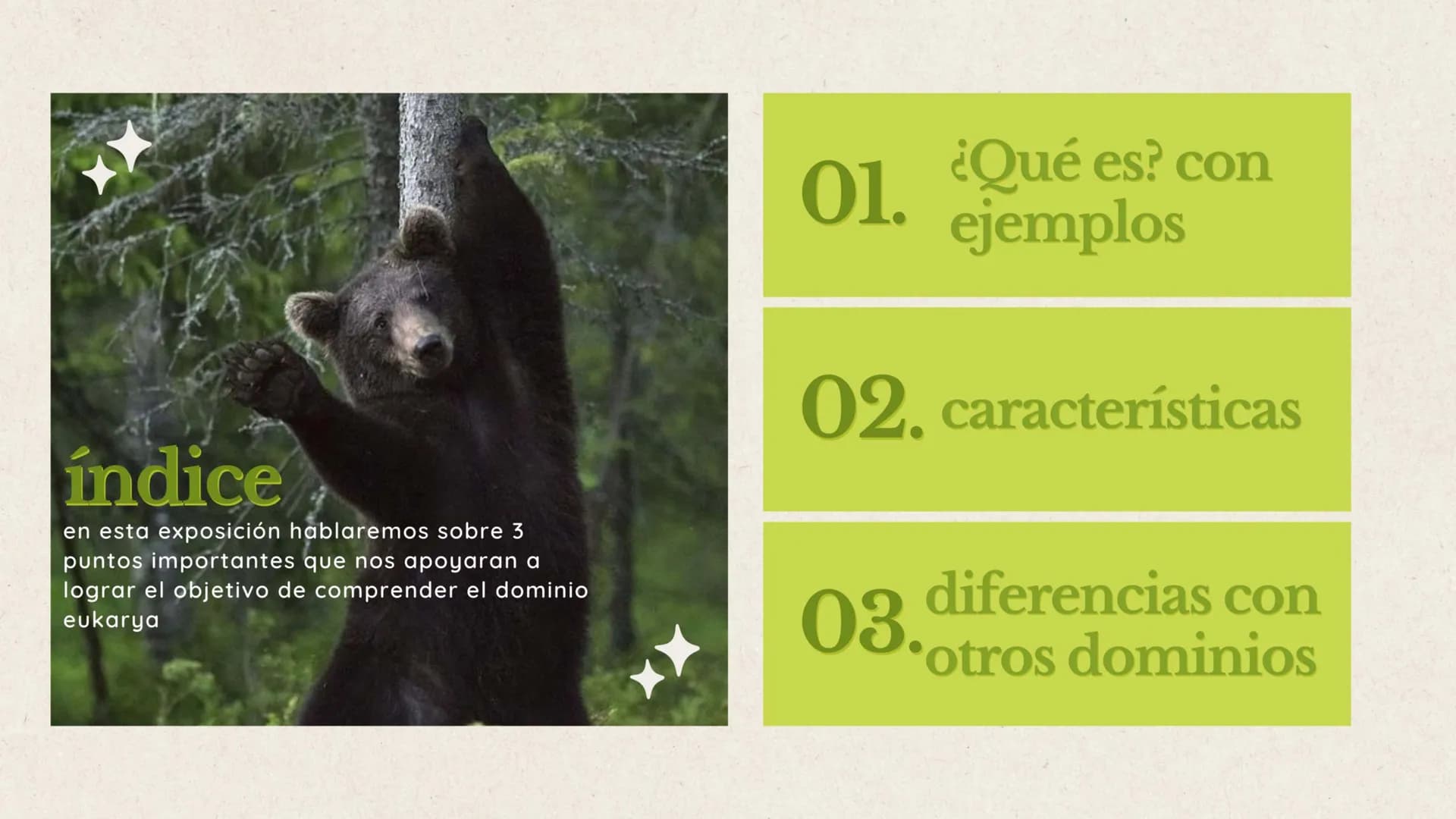 indice
en esta exposición hablaremos sobre 3
puntos importantes que nos apoyaran a
lograr el objetivo de comprender el dominio
eukarya
01. ¿