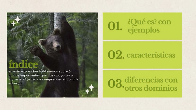 indice
en esta exposición hablaremos sobre 3
puntos importantes que nos apoyaran a
lograr el objetivo de comprender el dominio
eukarya
01. ¿
