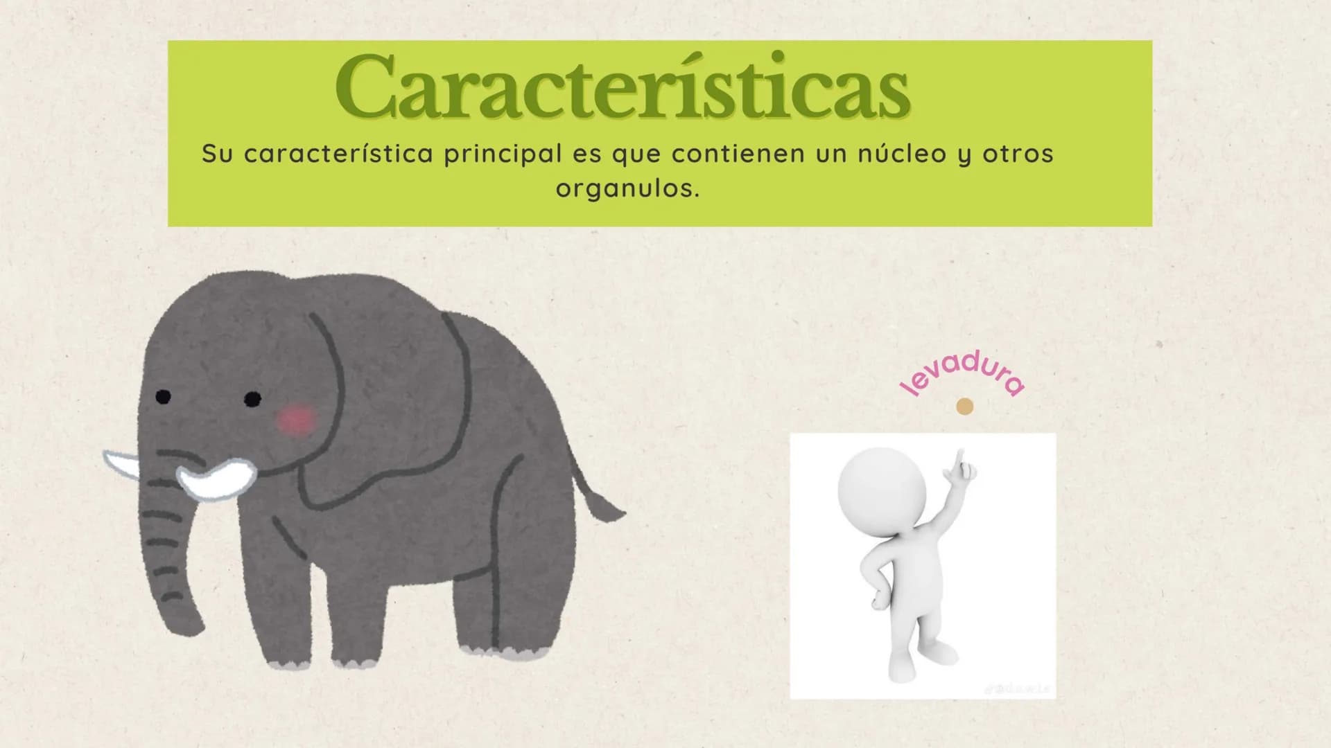 indice
en esta exposición hablaremos sobre 3
puntos importantes que nos apoyaran a
lograr el objetivo de comprender el dominio
eukarya
01. ¿