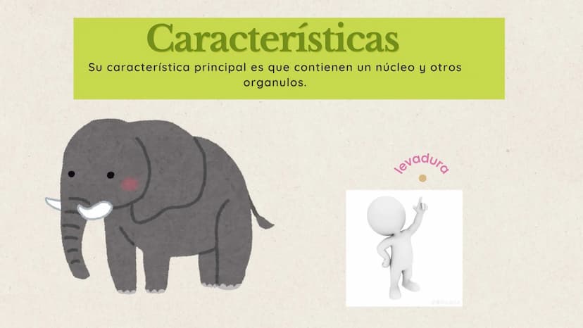 indice
en esta exposición hablaremos sobre 3
puntos importantes que nos apoyaran a
lograr el objetivo de comprender el dominio
eukarya
01. ¿