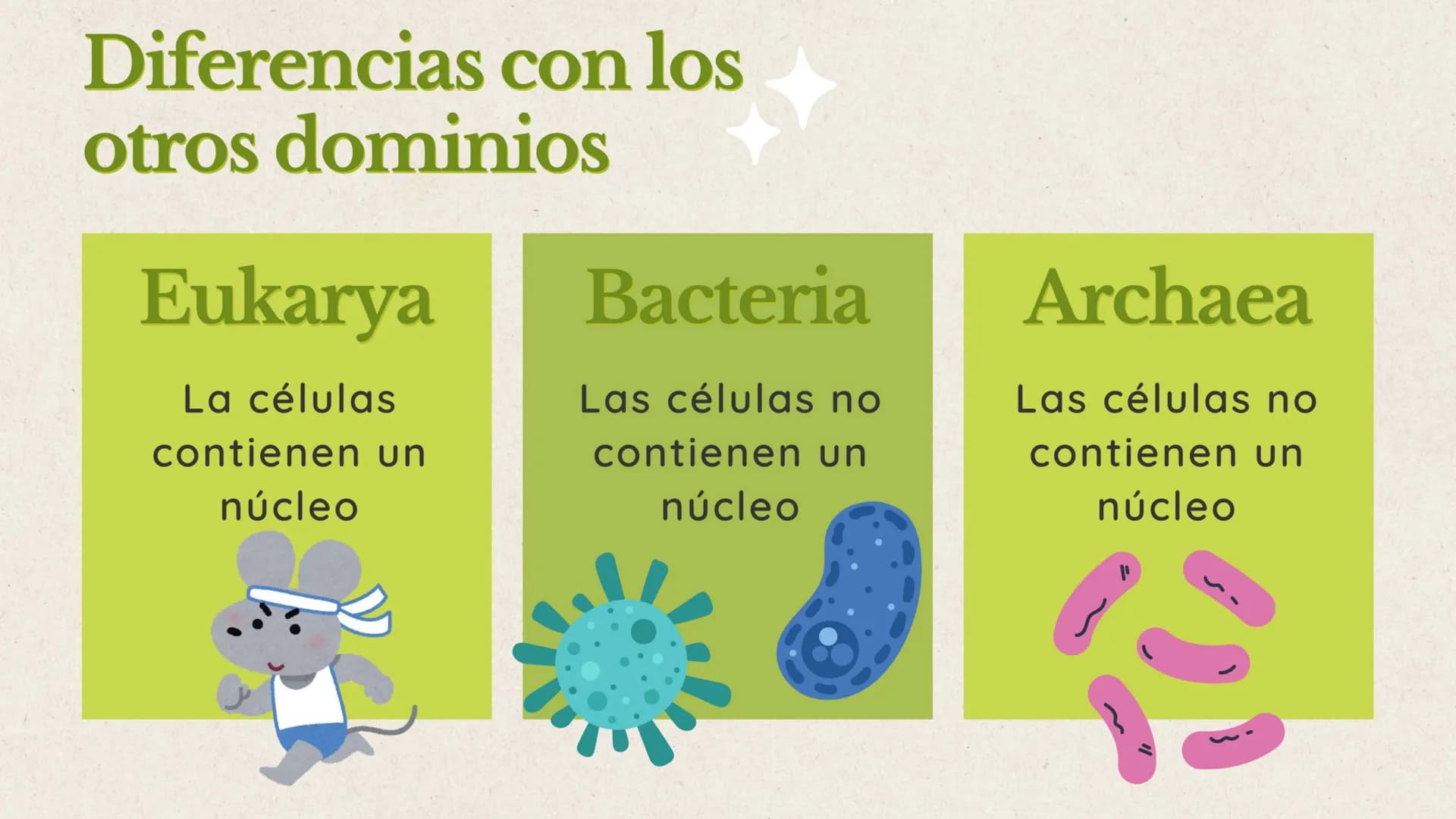 indice
en esta exposición hablaremos sobre 3
puntos importantes que nos apoyaran a
lograr el objetivo de comprender el dominio
eukarya
01. ¿