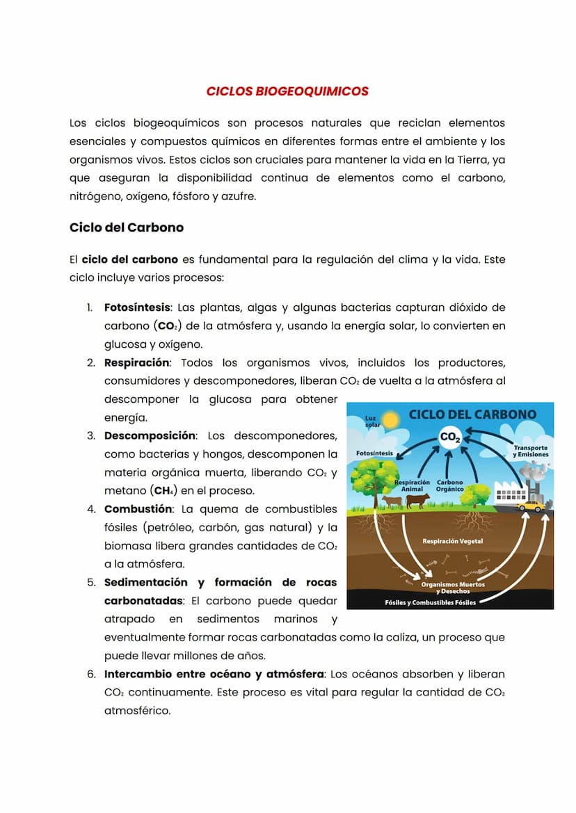 CICLOS BIOGEOQUIMICOS
Los ciclos biogeoquímicos son procesos naturales que reciclan elementos
esenciales y compuestos químicos en diferentes