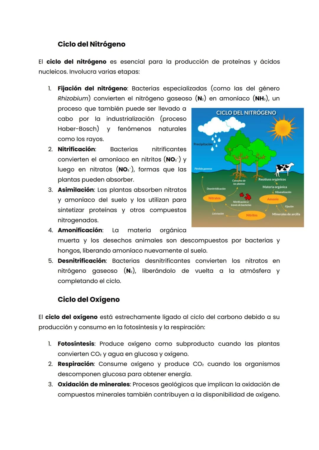 CICLOS BIOGEOQUIMICOS
Los ciclos biogeoquímicos son procesos naturales que reciclan elementos
esenciales y compuestos químicos en diferentes