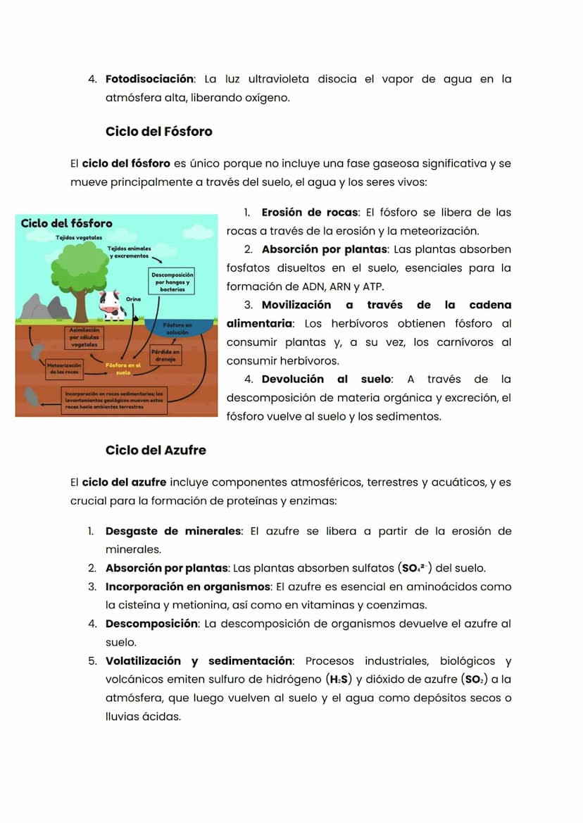 CICLOS BIOGEOQUIMICOS
Los ciclos biogeoquímicos son procesos naturales que reciclan elementos
esenciales y compuestos químicos en diferentes