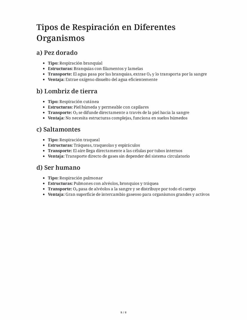 2 June 2025
Respiración en Seres Vivos: Evaluación Integral
Tarea 1
Tipos de Respiración en los Seres Vivos
Los seres vivos han desarrollado