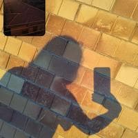 user profile picture