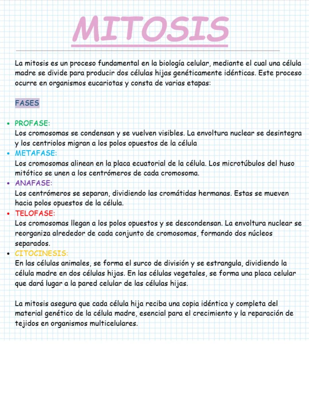 # MITOSIS
La mitosis es un proceso fundamental en la biología celular, mediante el cual una célula
madre se divide para producir dos célula