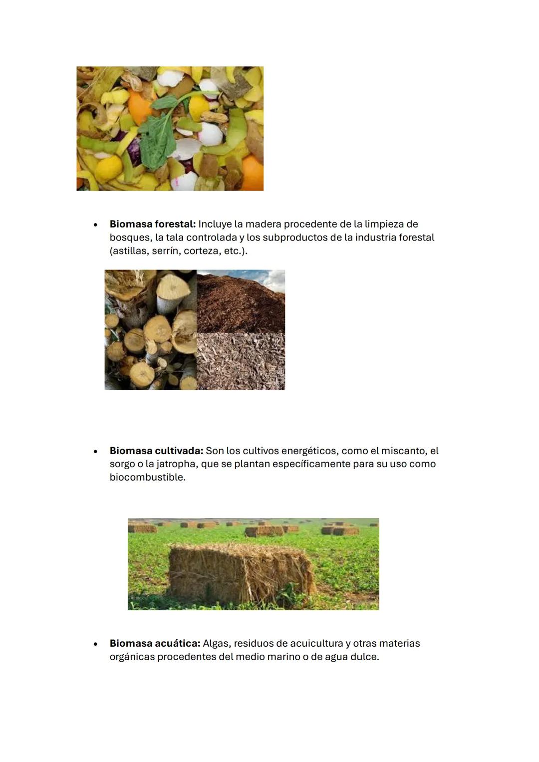 LA BIOMASA
¿Qué es la biomasa?
La biomasa es un término amplio que engloba toda la materia orgánica de origen
vegetal o animal, así como los