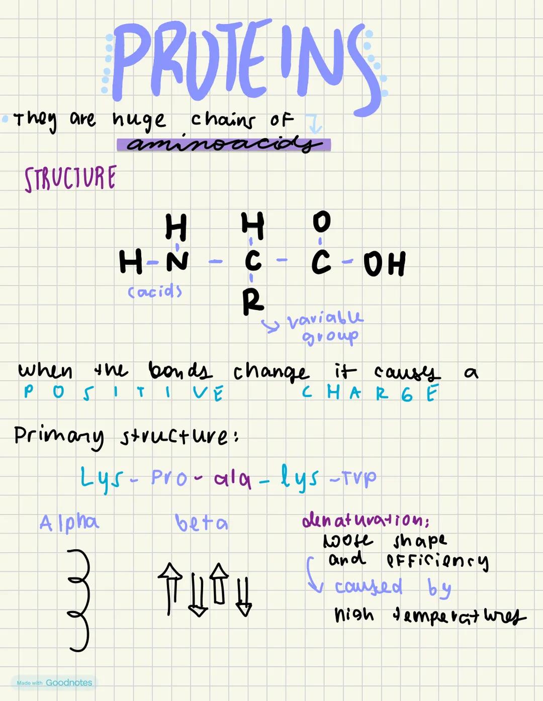 # PROTEINS
* They are huge chains of
aminoacids
STRUCTURE
HH
H-N-
Cacids
0
CC-OH
0
R
variable
group
when the bonds change it